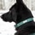 Confetti Dogs - Dog Collar Dots Size XL 45-67 cm - (PHU2432S) thumbnail-6