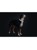 Hunter - Hundehalsbånd Divo Reflect XL 55-65cm , Refleks thumbnail-2