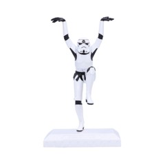 Stormtrooper Crane Kick