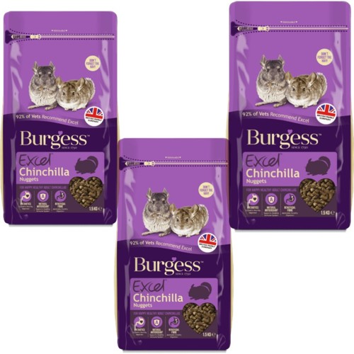 burgess chinchilla