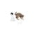 All For Paws - Cat Toy Interactive Lazer Beam Rotating 360° - (787.7552) thumbnail-3