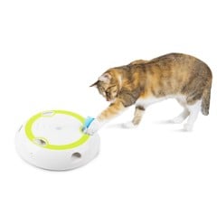 All For Paws - Cat Toy Interactive Wack'A'Feather 27X27X5.5Cm - (787.7562)