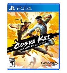 Cobra Kai Karate Kid Saga Continues (Import)