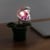 Mini Piranha Plant Posable Lamp thumbnail-4