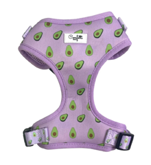 Confetti Dogs - Dog Harness Avocado Size M 34-42 cm - (PSE0863S)