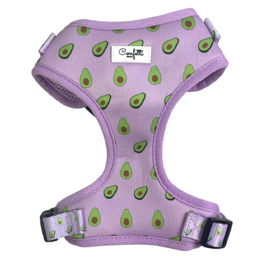 Confetti Dogs - Hundesele Avocado Str. L 40-54 cm