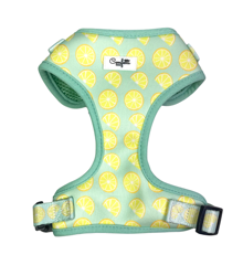 Confetti Dogs - Dog Harness Lemons Size M 34-42 cm - (PSE0728S)