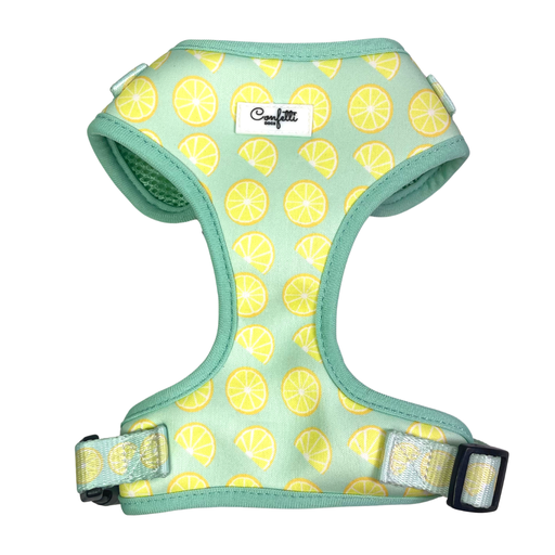 Confetti Dogs - Hundesele Citrus Str. L 40-54 cm