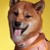 Confetti Dogs - Dog Collar Hey Sunshine Size M 32-48 cm - (PHA0903S) thumbnail-2