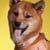 Confetti Dogs - Dog Collar Hey Sunshine Size L 39-59 cm - (PHA0904S) thumbnail-2