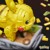 MEGA - Pokémon - Motion Pikachu (HGC23) thumbnail-3