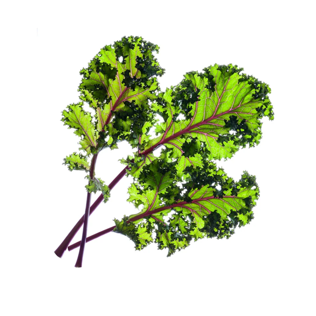 Click and Grow -  Smart Garden Refill 3-pack - Red Kale (SGR47X3)