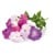 Click and Grow - Smart Garden Refill 3-pack - Petunia (SGR27X3) thumbnail-1
