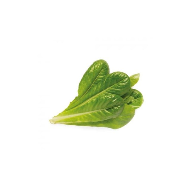 Click and Grow -  Smart Garden Refill 3-pack - Romaine Lettuce (SGR50X3)