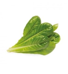 Click and Grow -  Smart Garden Refill 3-pack - Romaine Lettuce (SGR50X3)