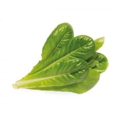 Click and Grow -  Smart Garden Refill 3-pack - Romaine Lettuce (SGR50X3)