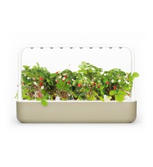 Click and Grow - Smart Garden 9 Starter kit (Color: Mellow Beige) ( SG9S7UNI)