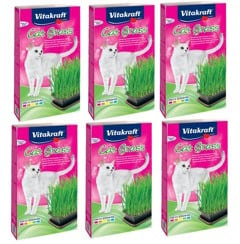 Vitakraft - 6 x Katte Græs i Bakke 120g