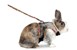 Flamingo - Harness with leash for rabbit - (5415245149301) thumbnail-2