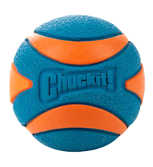 Chuckit - Ultra Squeaker Ball M 6 cm 2 Stk