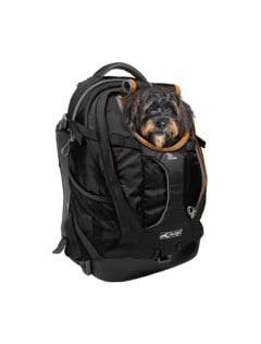 KURGO - G-Train Dog Carrier Backpack, Black - (81314601683)