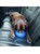 Kurgo - Splash Free Wander Dog Water Bowl, blue - (81314601812) thumbnail-2
