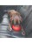Kurgo - Splash Free Wander Dog Water Bowl, Red - (81001381063) thumbnail-3