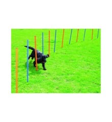 Pawise - Agility 12  Poles