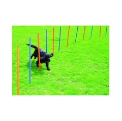 Pawise - Agility 12  Poles