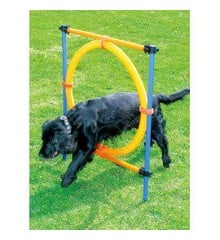 Pawise - Agility Ring 55Cm - (636.9004)