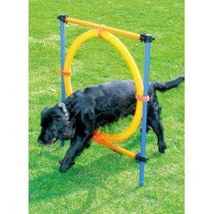 Pawise - Agility Ring 55Cm - (636.9004)