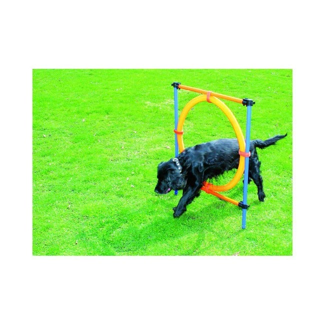 Pawise - Agility Ring 55Cm - (636.9004)
