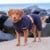 Siccaro - Supreme 2.0 Blue Granite 40 - Dog Coat f/drying - (S1007) thumbnail-1