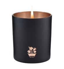 Noble Isle - Willow Song Candle
