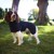Siccaro - Recovery 60 - Dog Coat (S5003) thumbnail-2