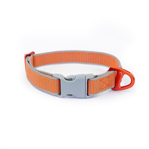 Siccaro - Sealines Dog Collar Mixed L - (S6011) - Kjæledyr og utstyr