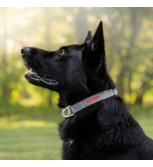 Siccaro - Sealines Dog Collar Silver L - (S6011)