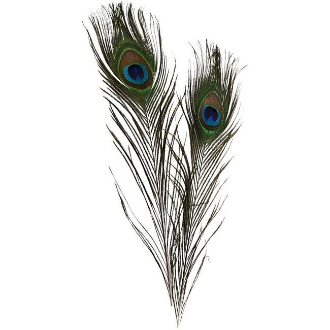 DIY Kit - Peacock feathers 10pc (51810)