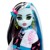 Monster High - Doll with Pet - Frankie (HHK53) thumbnail-3
