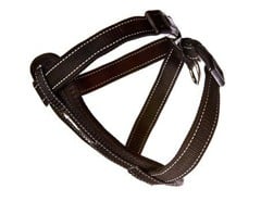 Ezydog -  Harness Neoprene Black Xs 3-6Kg Walking/Car Harness - (605.0314)