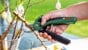 Bosch - Battery Pruning Scissors Easy Prune 3.6V thumbnail-10