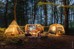 Easy Camp - Moonlight Cabin Telt 2024 - 10 Personer thumbnail-10