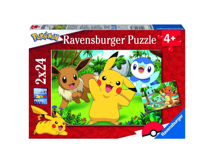 Ravensburger - Pokémon 2x24p - (10105668)