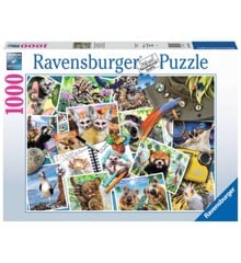 Ravensburger - Travellers Animal Journal 1000p - (10217322)