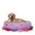 Squishmallows - Pet Bed - Octopus 76 cm (JPT0085-L) thumbnail-1