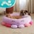 Squishmallows - Pet Bed - Octopus 76 cm (JPT0085-L) thumbnail-7