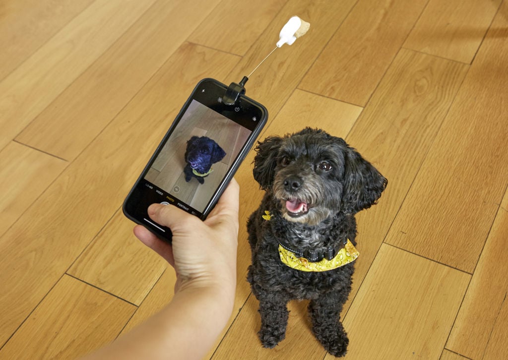 Dog Treat Selfie Clip (DIG01) - Gadgets