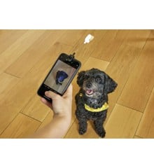 Dog Treat Selfie Clip (DIG01)