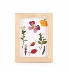 HUCKLEBERRY PRESSED FLOWER FRAME (HB02-F)