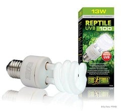 EXOTERRA - Reptile Uvb 100 Fluorescent lamp 13W E27  - (220.1870)